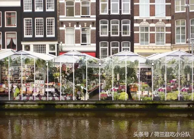 旅行必看｜它是全球唯一的水上鲜花市场，买花逛吃两不误！