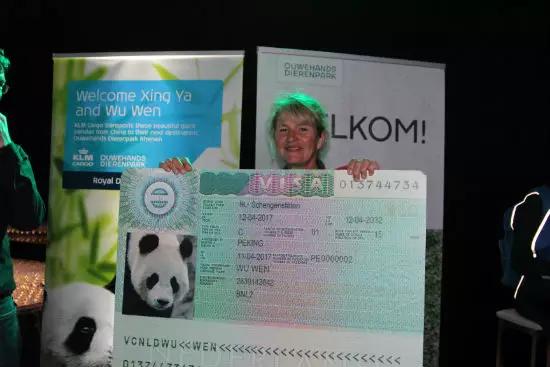 熊猫也爱晒朋友圈，最后一只叫太极的熊猫亮了