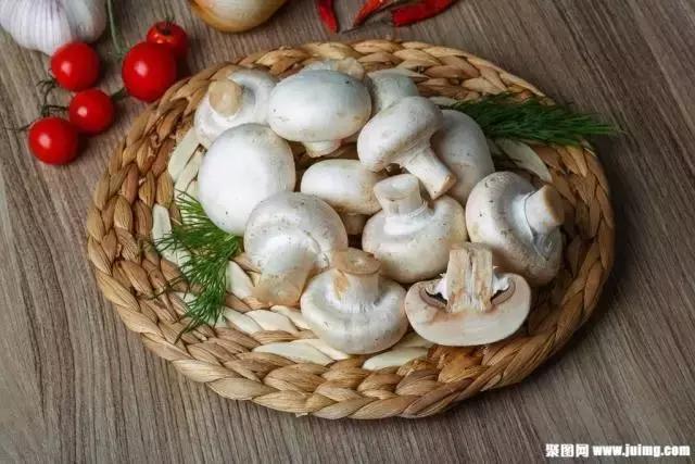 二十四节气之谷雨歌曲完整版,二十四节气谷雨动画视频完整