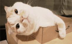 绍兴上虞为什么有海,上虞哪个地方有海