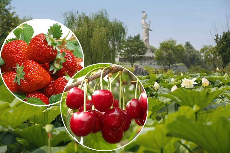 首届“山东好礼·一城一品”评选启动，选出你心中的“淄博礼物”