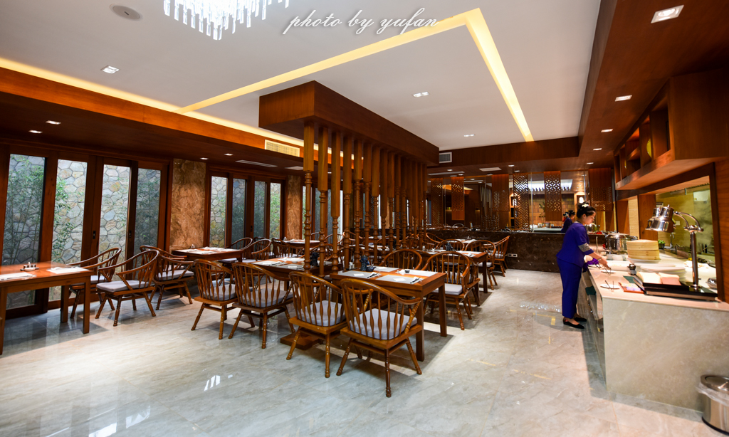 云端上的世外桃源，看看浇灌牛奶和土鸡蛋的有机乌龙茶长成啥样