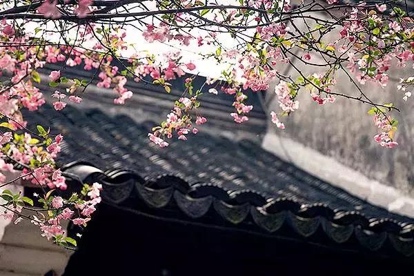 最好的十首落花诗,最美的落花诗100首