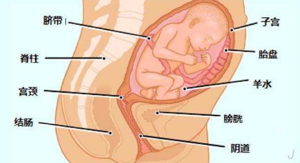 临产前宫颈管消失有什么感觉,临产前耻骨突然不痛了正常吗