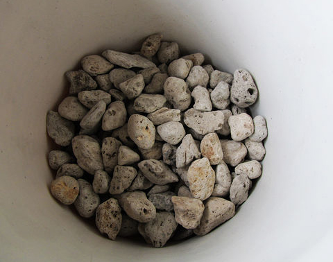 不换盆的情况下怎么给花卉换土,为花卉换盆换土的秘诀