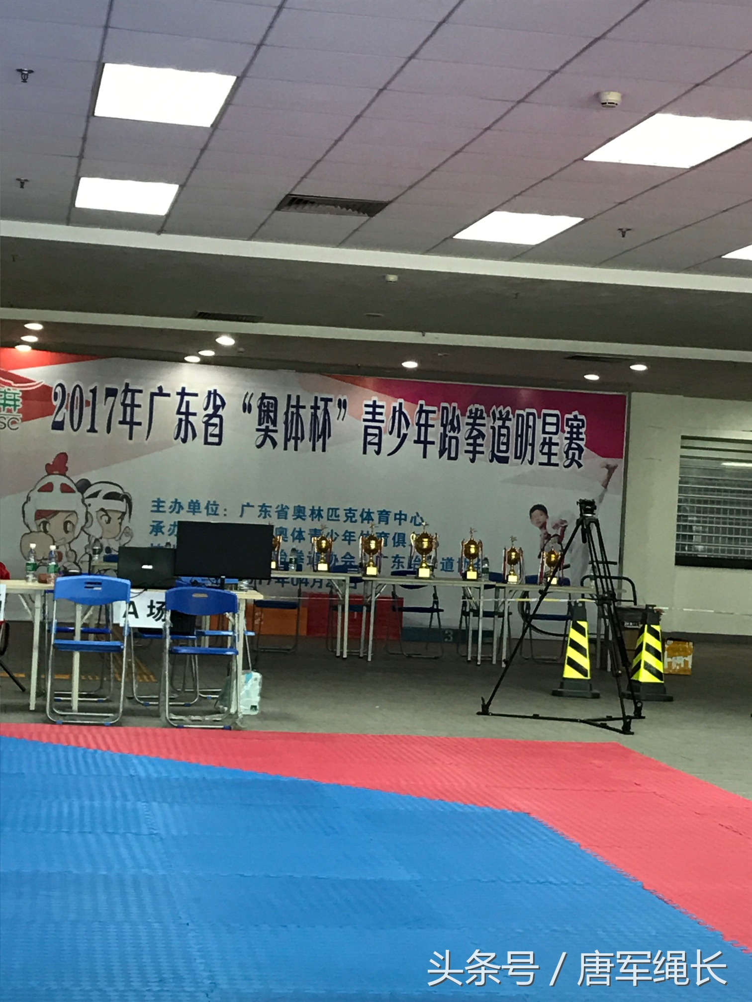 广东省青少年跆拳道锦标赛直播,广东省奥体杯青少年跆拳道明星赛