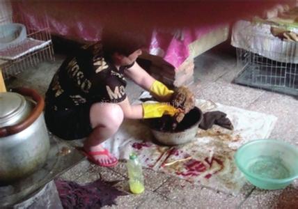 *渎亵**生灵的交易，购买就是助凶，我们称它为星期狗