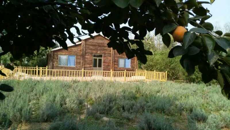 国际玫瑰大会,第三届国际玫瑰文化旅游节