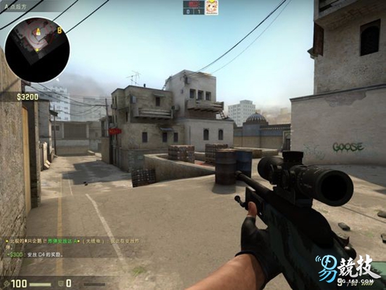 仓鼠你不知道的冷知识,长沙你不知道的冷知识