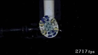 带你了解真正速度与激情,带你们领略速度与激情