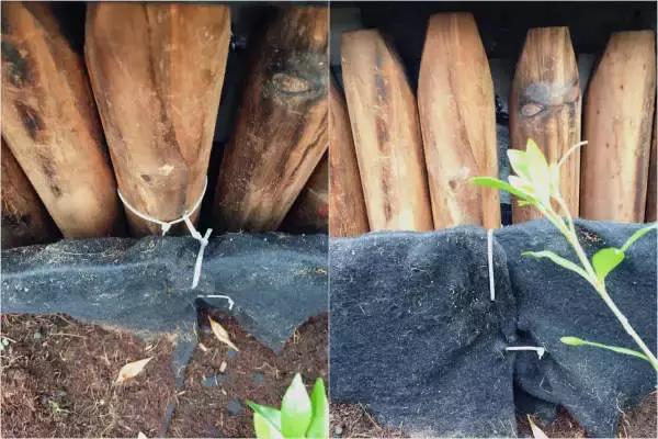 低成本自己改造屋顶花园,自己动手建房子花园