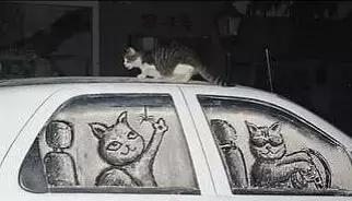 车脏了怎么办，告诉你一个省钱的办法