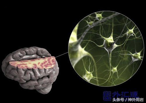 梦到植物人和正常人一样了,植物人促醒什么意思