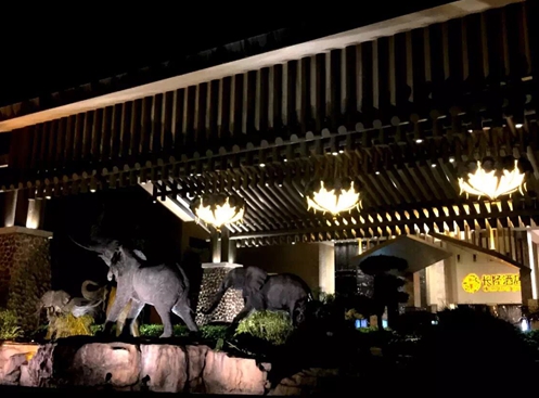 带你玩转长隆动物园,一天玩转长隆欢乐世界和动物园