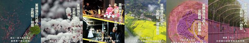 企鹅号的其他名称,企鹅号是哪个城市的