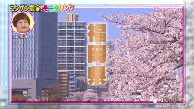 炫妻狂魔带着醉酒的日本人撒了成吨的狗粮！