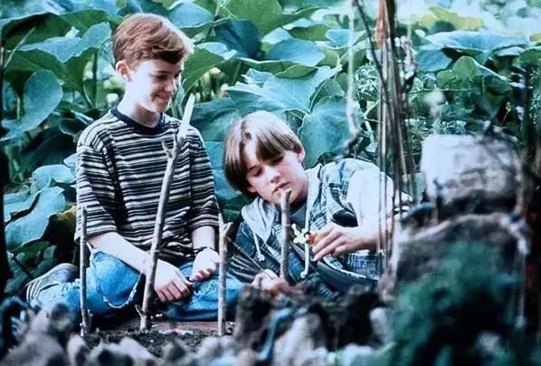 颜值演技双在线值得反复观看,颜值演技在线的“双男主剧”