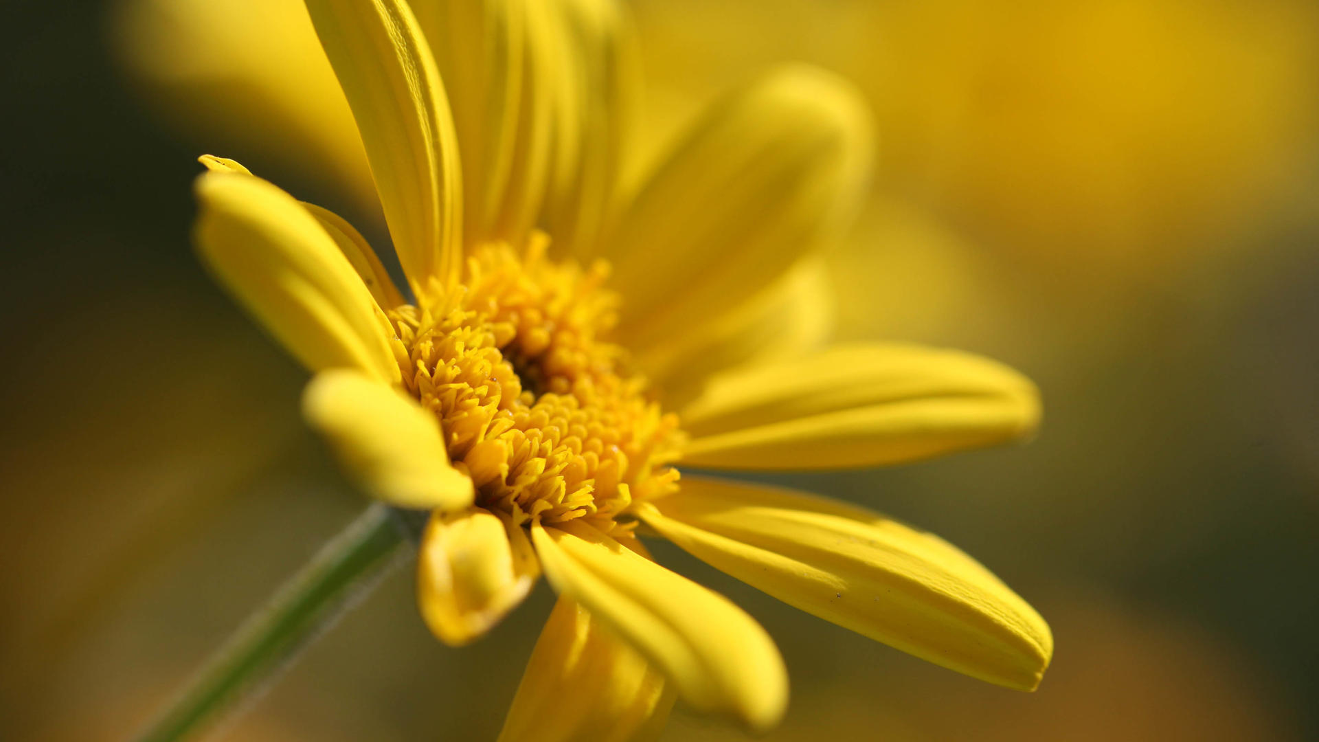 单词背后的故事电子书,单词背后的故事