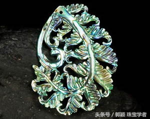 鲍鱼除了吃还代表什么,鲍鱼除了是食物还是什么东西