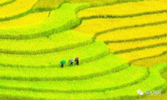 奢香古镇五一节有活动吗,2022大方奢香古镇活动日