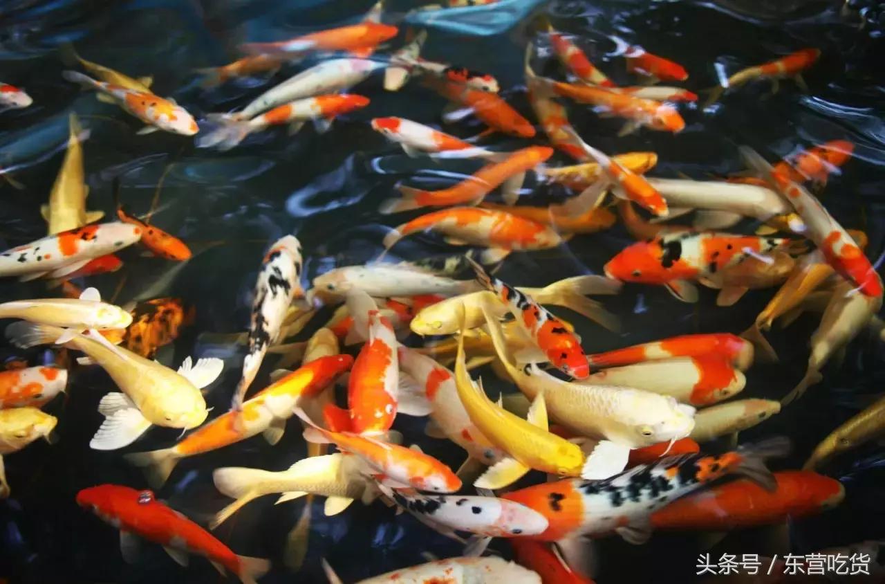 东营五一假期好去处,五一东营去哪里玩比较好