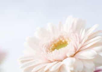 妇科内分泌紊乱之PCOS篇