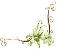 聊城市五一小长假去哪里玩,聊城五一假日攻略