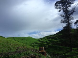 新西兰全景巴士,那些自驾游来不及知道的事儿(北岛+南岛超多公共交通实用信息各类购票详细教程InterCity)