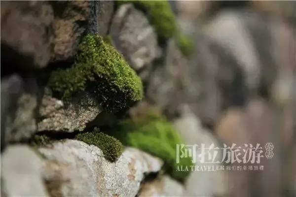 宁波唐诗古道,走过千山万水却走不过你朗读