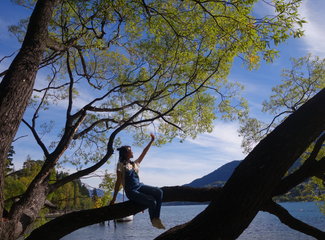 致敬·新西兰OnceisforAll