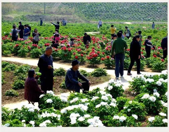 聊城市五一小长假去哪里玩,聊城五一假日攻略