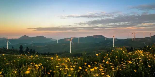 广西是哪个民族的自治区,广西是一个什么样子的省份