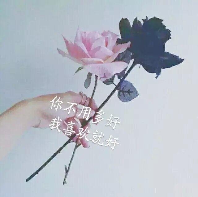 漫长人生分解,漫长人生漫长岁月