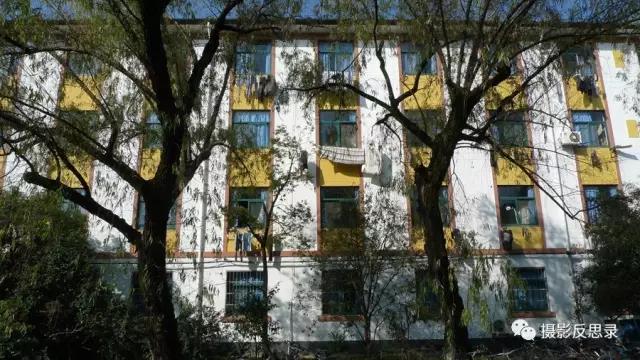 浙大玉泉照片,跨越百年的珍贵影像