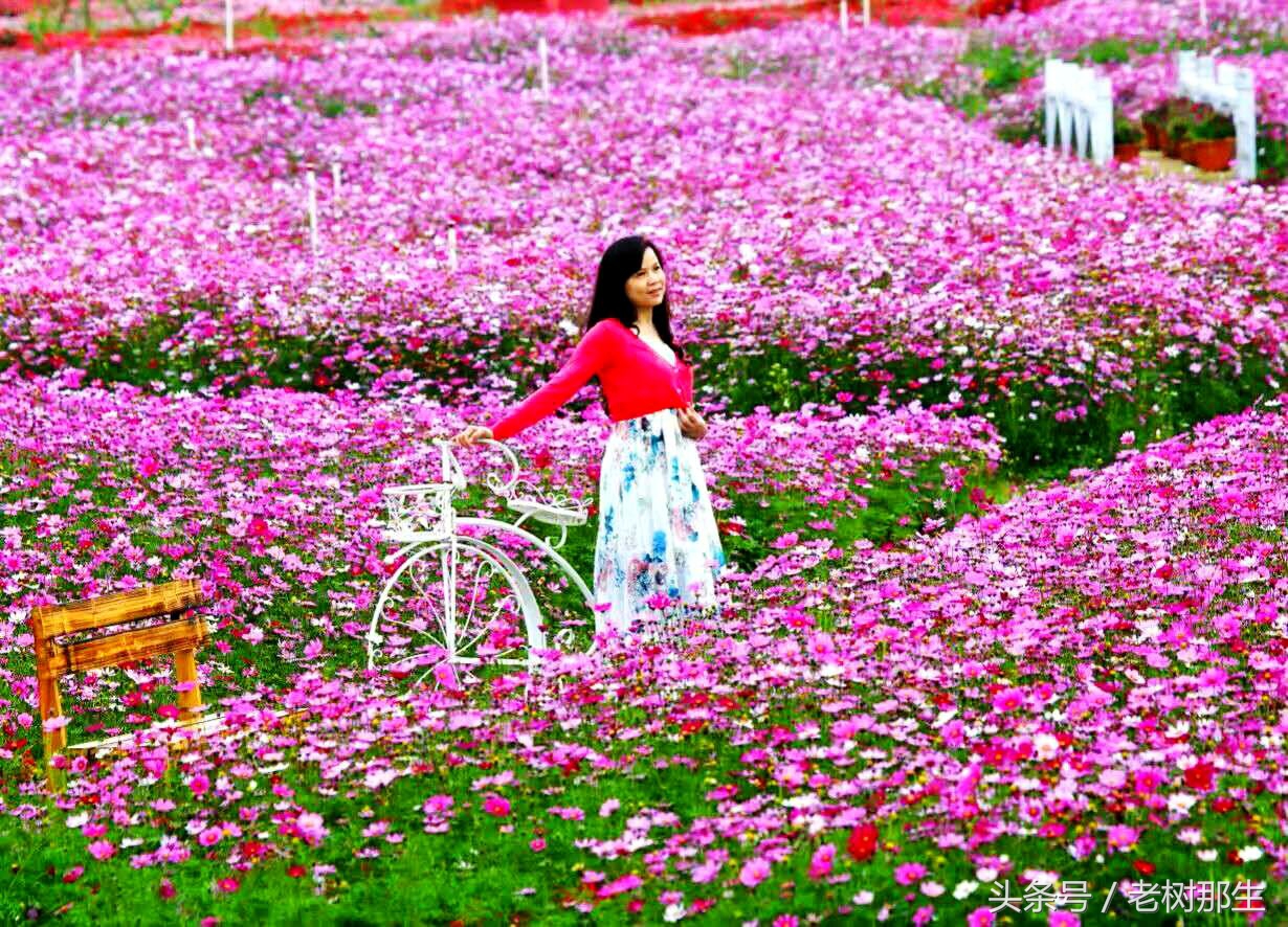 南宁花雨湖景区好玩吗,南宁花雨湖风景区