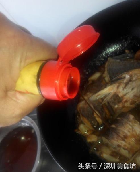 肉炖鱼的做法大全,好吃不腥的炖鱼的做法