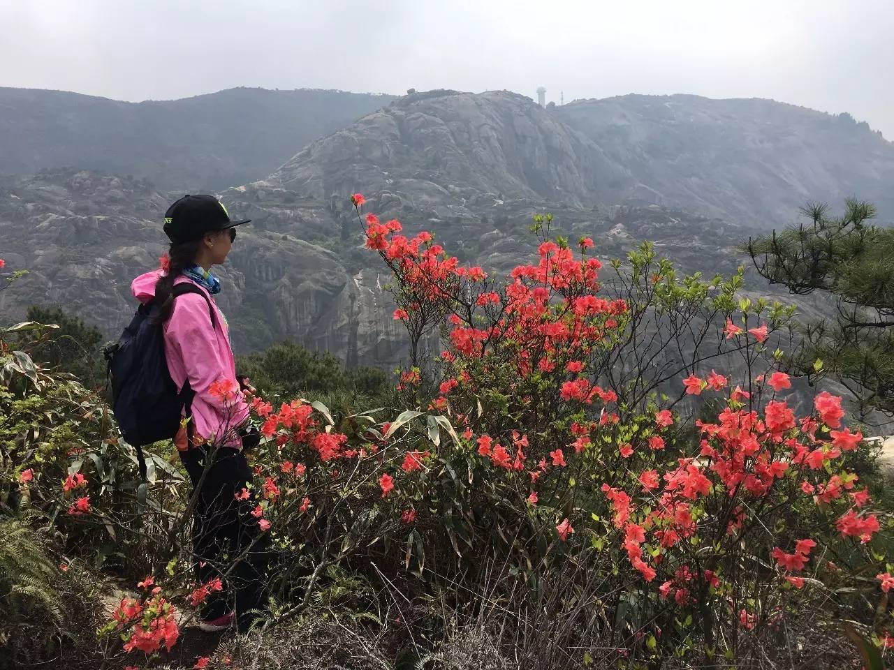 大罗山龙脊离百家尖有多远,大罗山瓯海一日游最佳路线图
