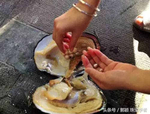 真正的天然珍珠是有什么颜色,天然珍珠是什么样的