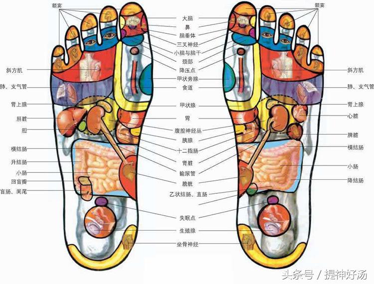职场女生的养生秘诀,职场女人养生保健秘方