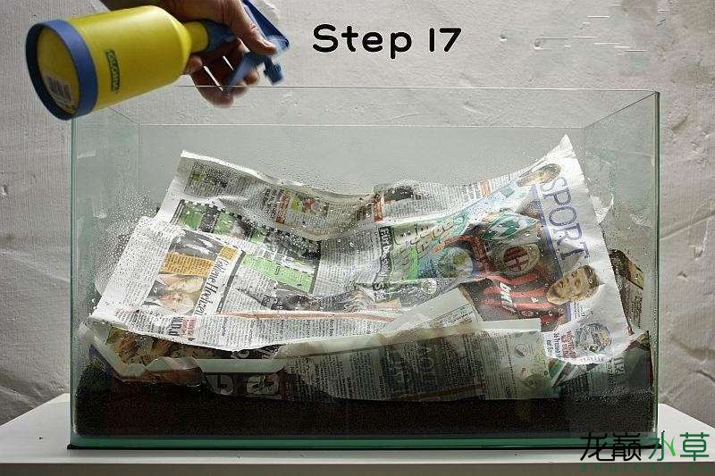 水草造景之我见-水草造景详细开缸教程及相关常见问题预防解答