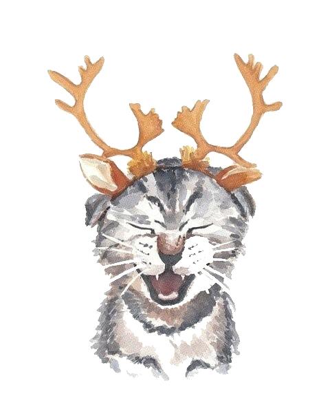 天气多变，宠物生病怎么办？