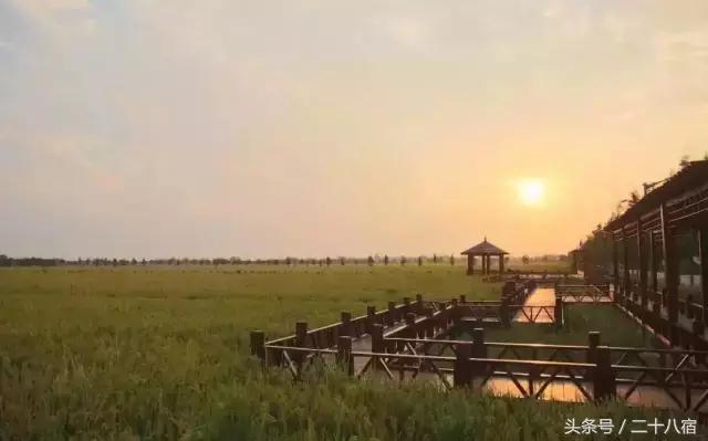 乡根东林渡,乡根东林渡露营