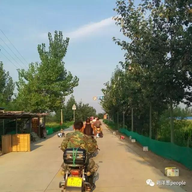 百日虫蝈蝈大概多少钱,百日虫蝈蝈价格