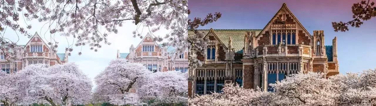 只能做个月光女孩了|美利坚旅游指南，开架货柜必买单品！