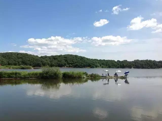 西安3月底周边赏花踏青一日游,武汉踏青自驾一日游推荐