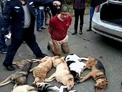 大学时想做侯亮平，工作后想做祁同伟后来发现……