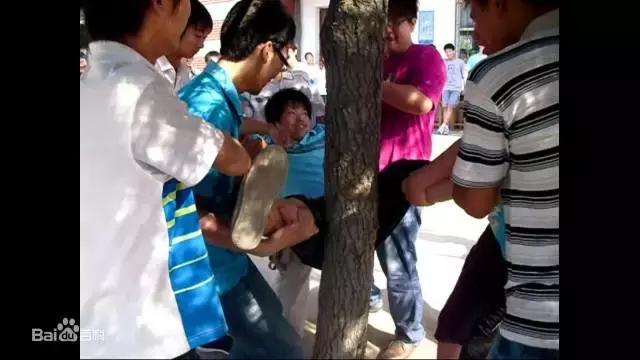 乱砍滥伐四联漫画,乱砍黄花梨