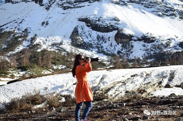 灏忛噾鐗涘巶,灏忛噾鐗涙満姊板巶