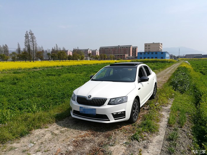 顾家好男人开什么车,顾家好男人买车