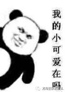 方舟15大萌宠评选,你家萌宠上榜了吗?